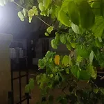 Greenapple Inn